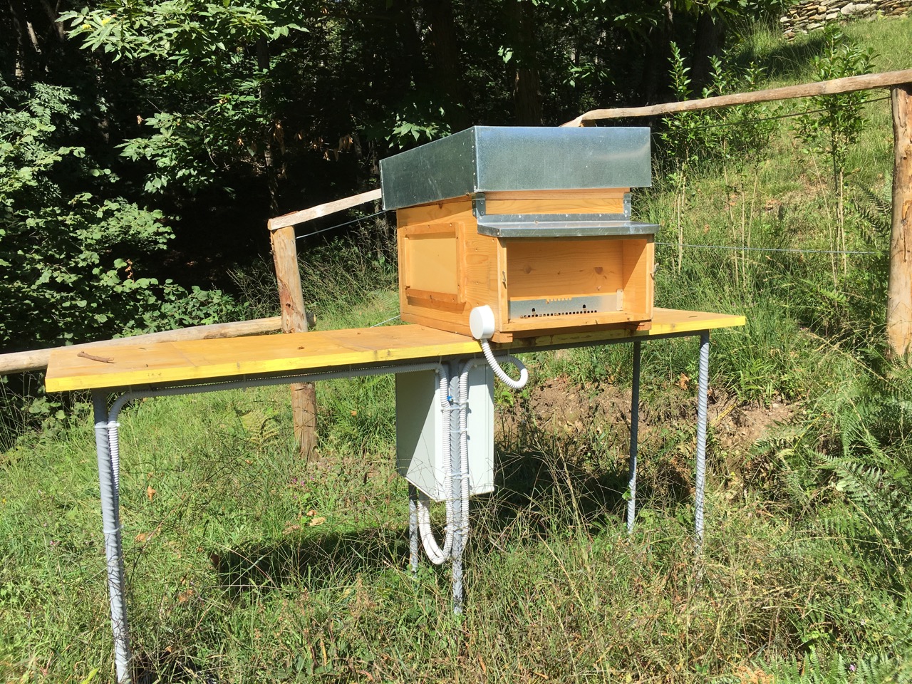 arnia castensagi chiusa