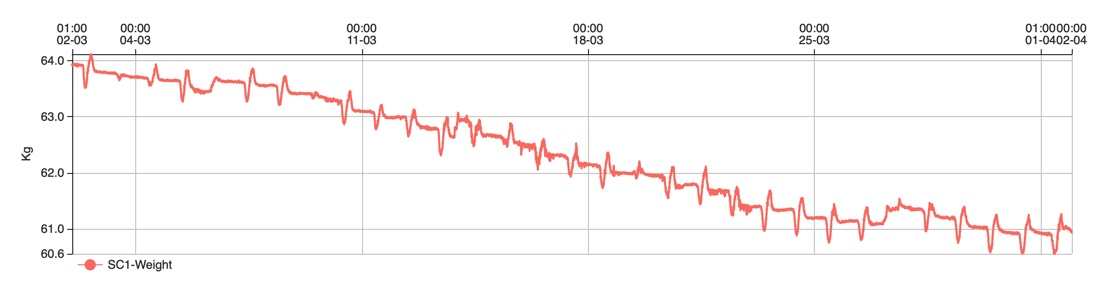 Immagine del 22.05.21 alle 16.55