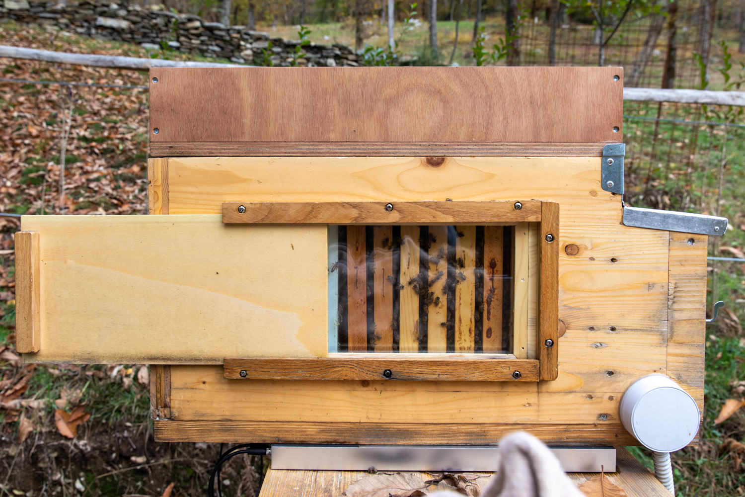 apiario didattico lelgio3